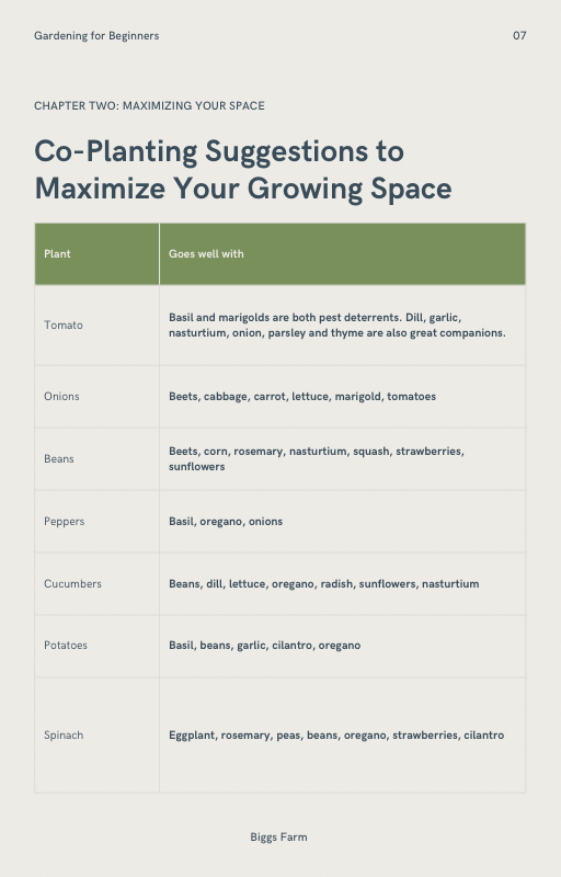 Getting Started Guide - Gardening for Beginners
