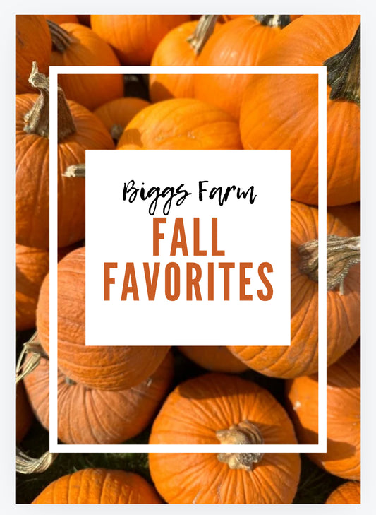 Fall Favorites Cookbook